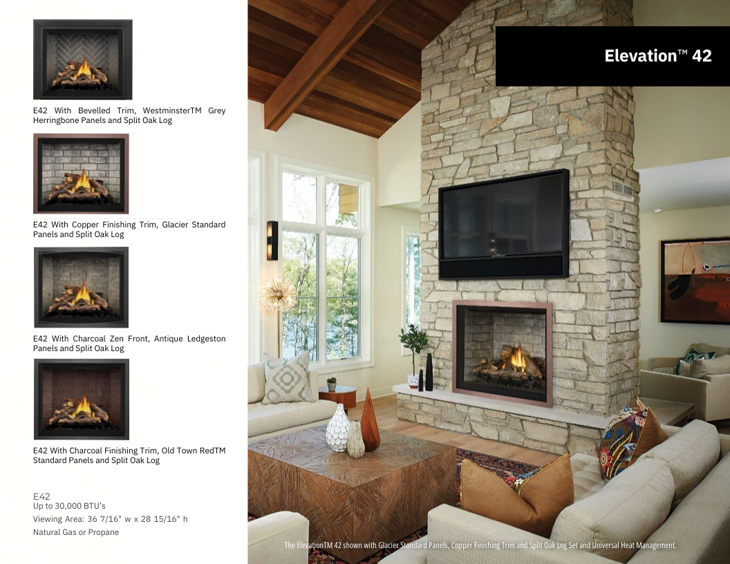 Napoleon Elevation 42 Direct Vent Gas Fireplace