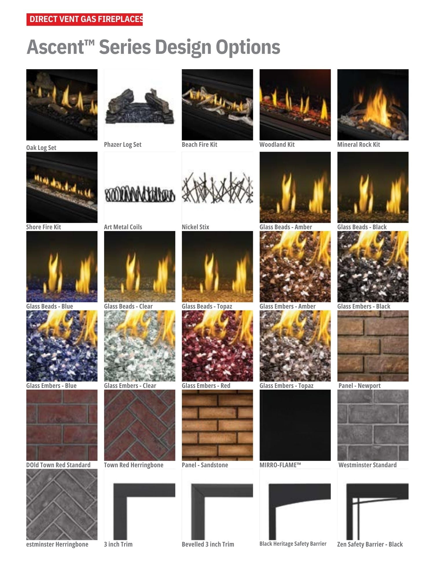 Napoleon Ascent Multi-View Direct Vent Gas Fireplace
