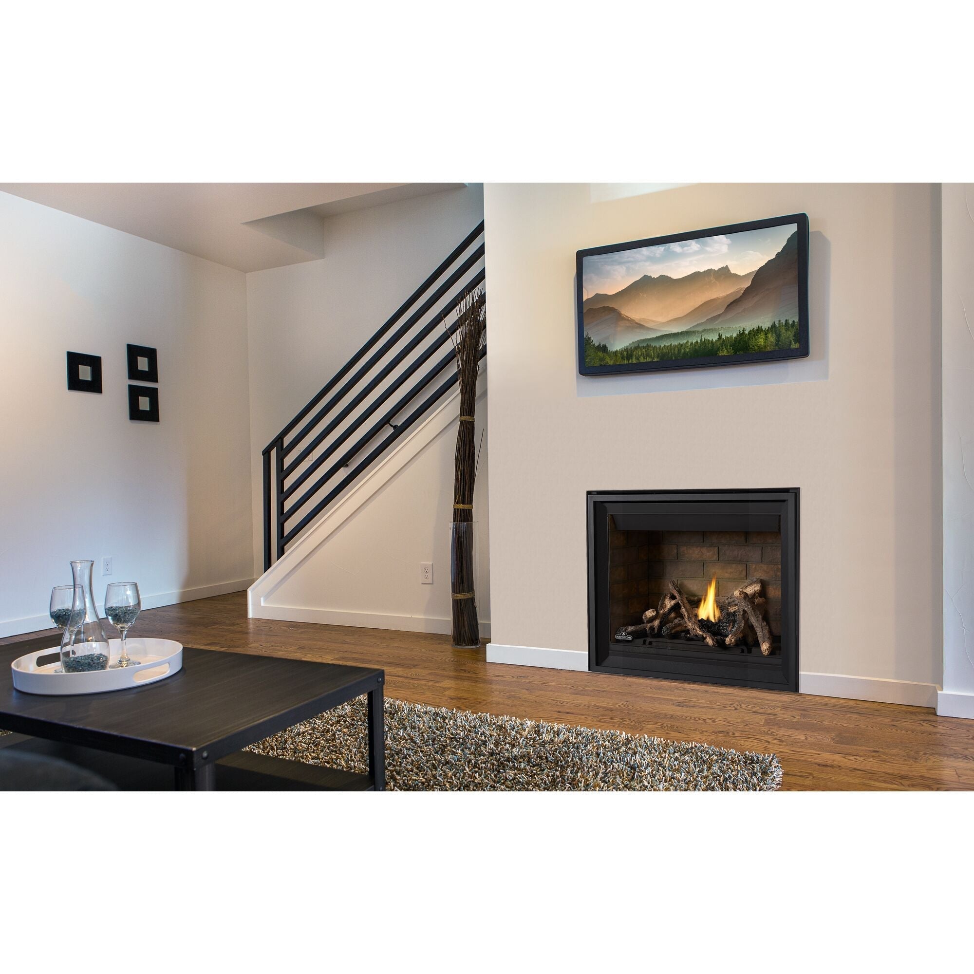 Napoleon Altitude 42 Direct Vent Gas Fireplace